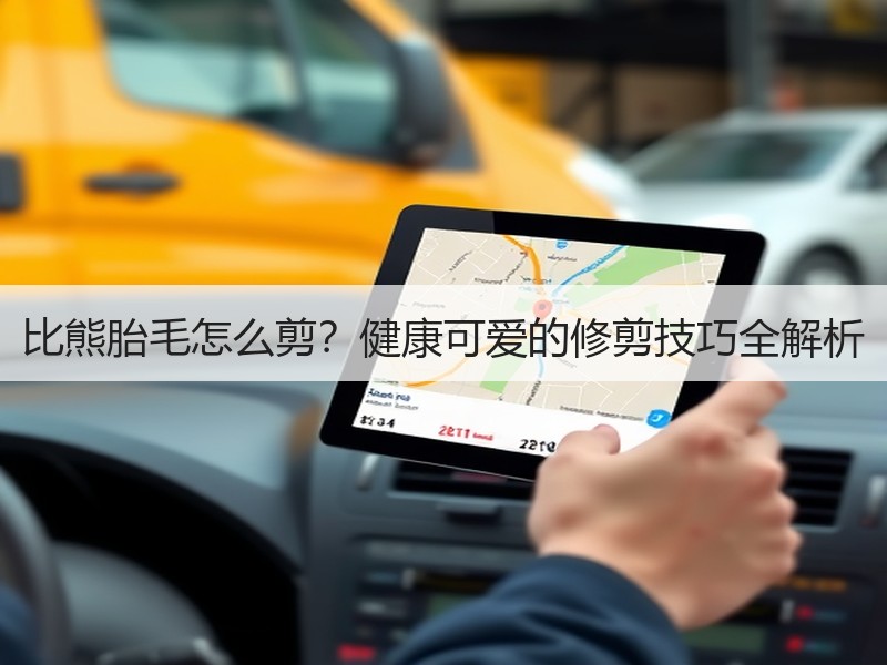 比熊胎毛怎么剪？健康可爱的修剪技巧全解析