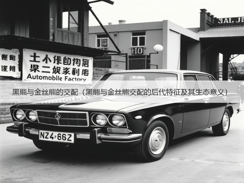 黑熊与金丝熊的交配（黑熊与金丝熊交配的后代特征及其生态意义）