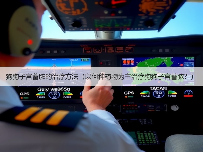 狗狗子宫蓄脓的治疗方法（以何种药物为主治疗狗狗子宫蓄脓？）