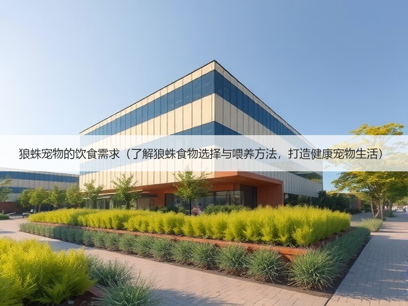 狼蛛宠物的饮食需求（了解狼蛛食物选择与喂养方法，打造健康宠物生活）
