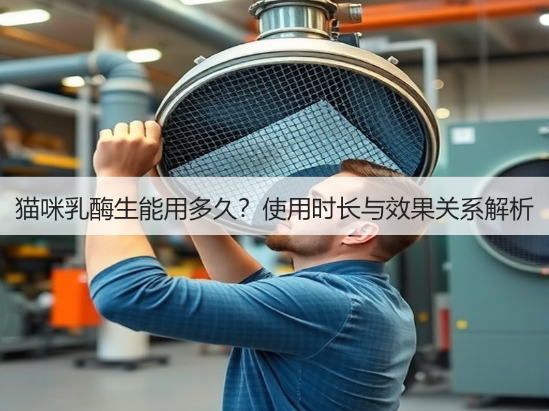 猫咪乳酶生能用多久？使用时长与效果关系解析