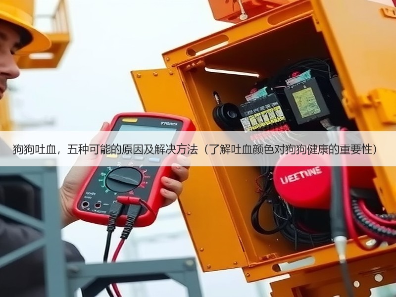 狗狗吐血，五种可能的原因及解决方法（了解吐血颜色对狗狗健康的重要性）