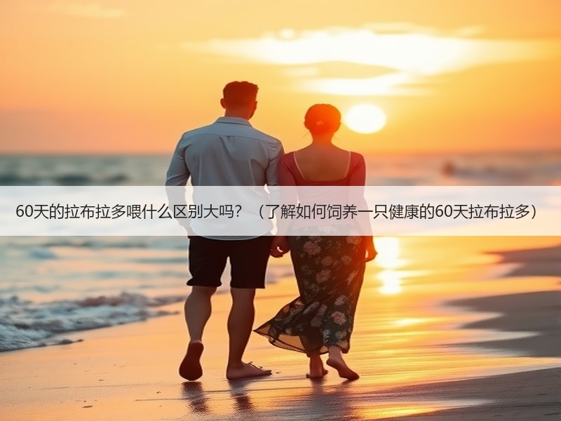 60天的拉布拉多喂什么区别大吗？（了解如何饲养一只健康的60天拉布拉多）