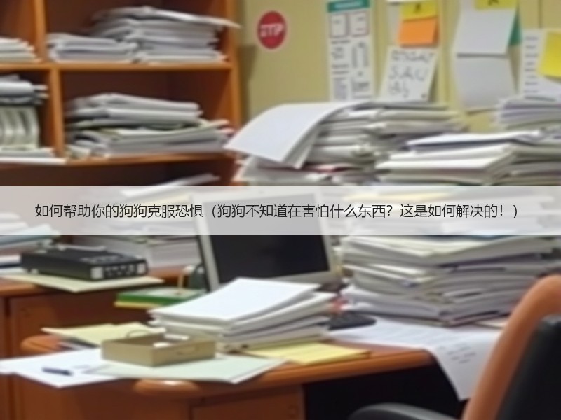 如何帮助你的狗狗克服恐惧（狗狗不知道在害怕什么东西？这是如何解决的！）