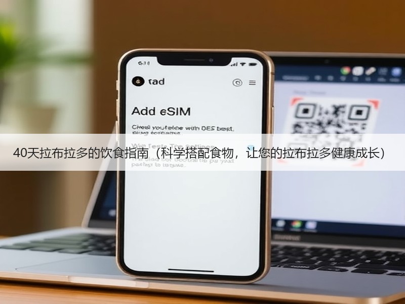 40天拉布拉多的饮食指南（科学搭配食物，让您的拉布拉多健康成长）