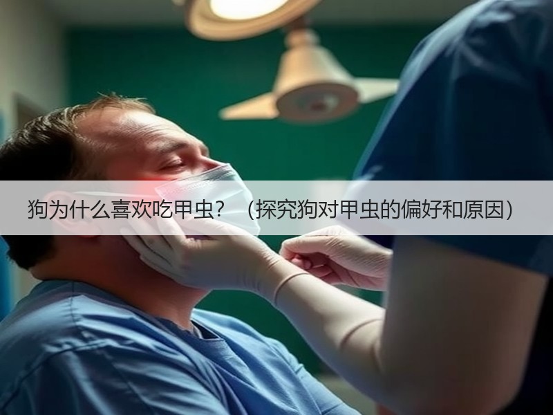 狗为什么喜欢吃甲虫？（探究狗对甲虫的偏好和原因）