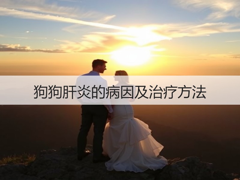 狗狗肝炎的病因及治疗方法