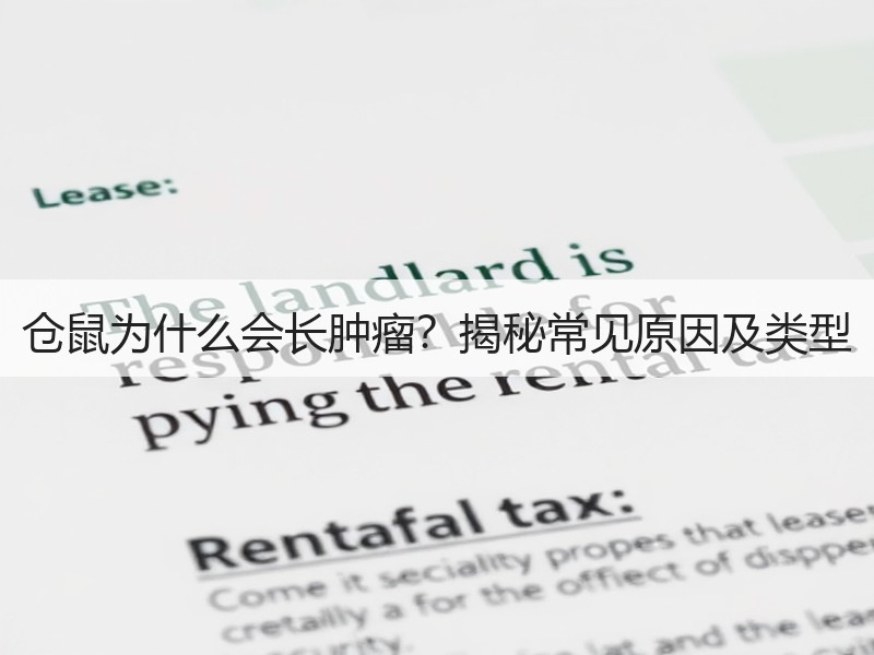 仓鼠为什么会长肿瘤？揭秘常见原因及类型