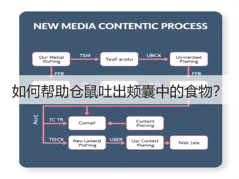 如何帮助仓鼠吐出颊囊中的食物？