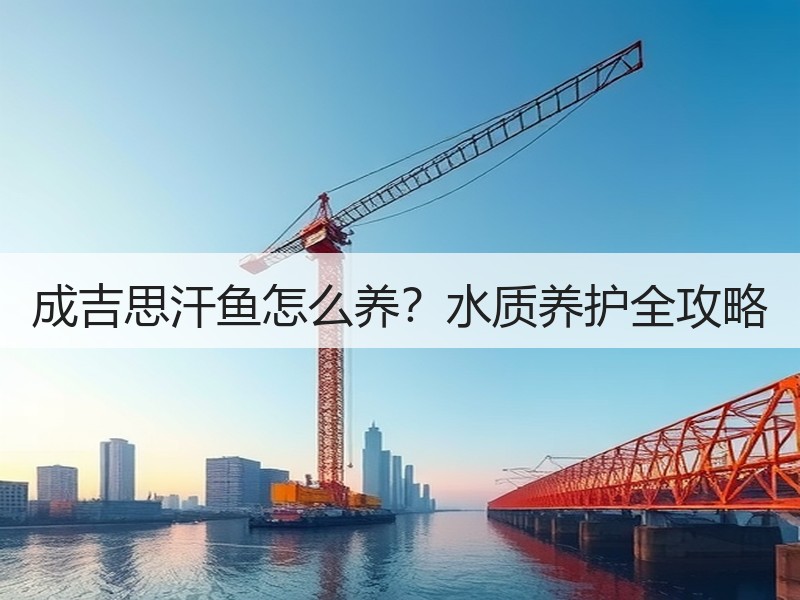 成吉思汗鱼怎么养？水质养护全攻略