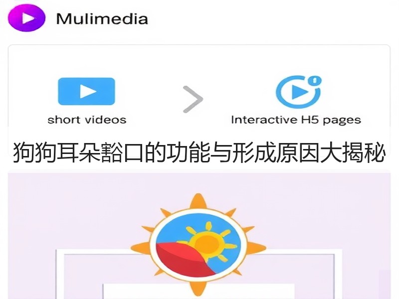 狗狗耳朵豁口的功能与形成原因大揭秘