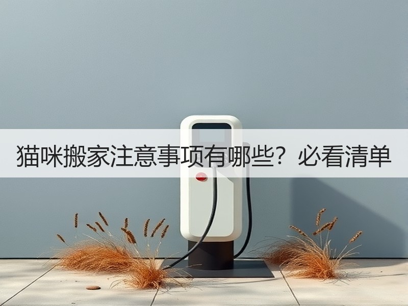 猫咪搬家注意事项有哪些？必看清单