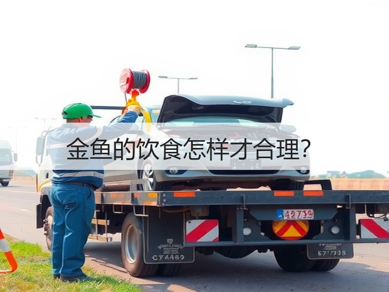 金鱼的饮食怎样才合理？