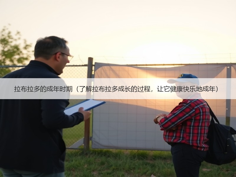 拉布拉多的成年时期（了解拉布拉多成长的过程，让它健康快乐地成年）