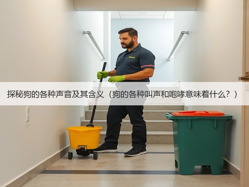 探秘狗的各种声音及其含义（狗的各种叫声和咆哮意味着什么？）