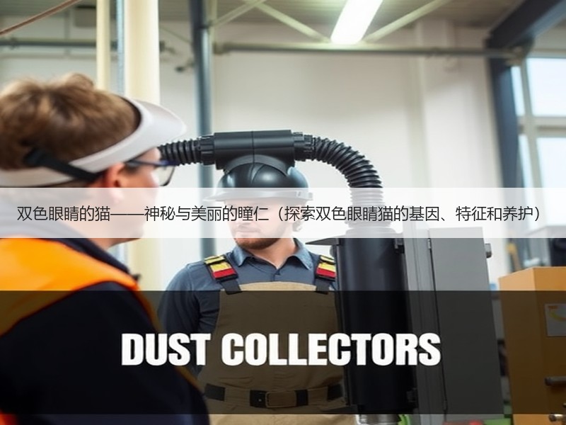 双色眼睛的猫——神秘与美丽的瞳仁（探索双色眼睛猫的基因、特征和养护）