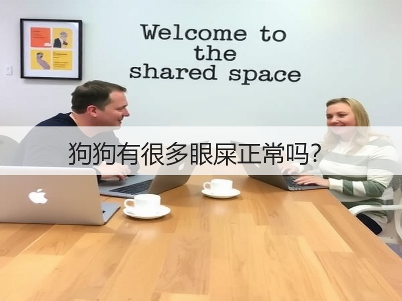 狗狗有很多眼屎正常吗？