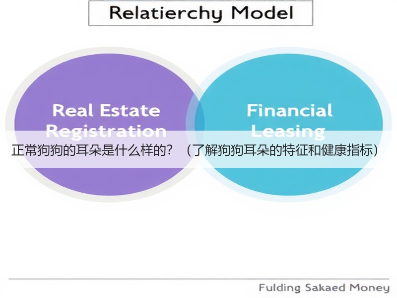 正常狗狗的耳朵是什么样的？（了解狗狗耳朵的特征和健康指标）
