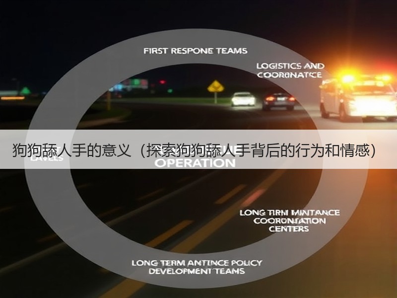 狗狗舔人手的意义（探索狗狗舔人手背后的行为和情感）