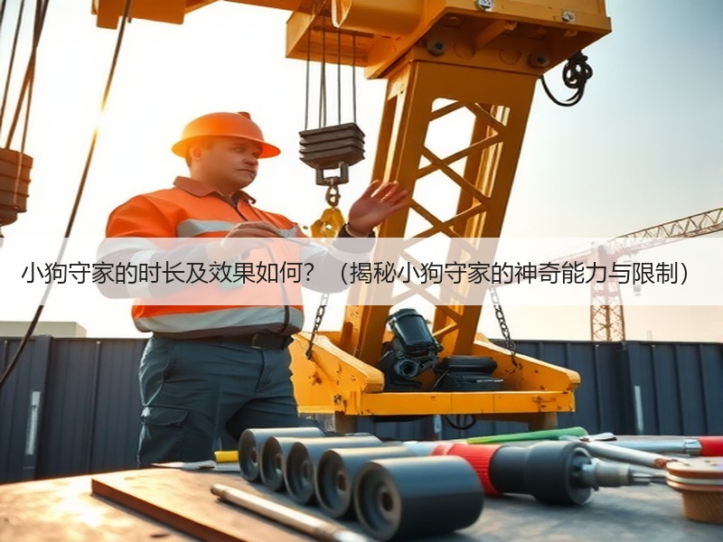 小狗守家的时长及效果如何？（揭秘小狗守家的神奇能力与限制）
