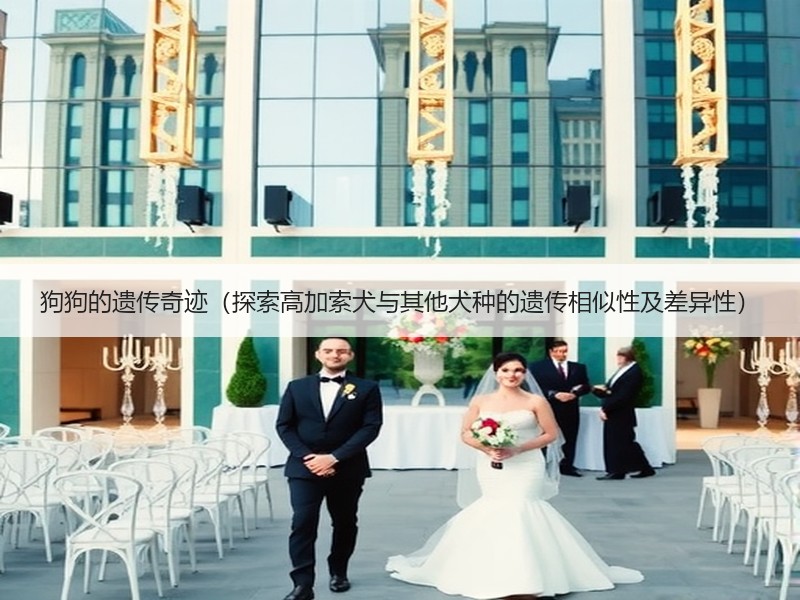 狗狗的遗传奇迹（探索高加索犬与其他犬种的遗传相似性及差异性）