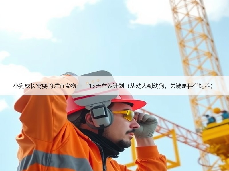 小狗成长需要的适宜食物——15天营养计划（从幼犬到幼狗，关键是科学饲养）