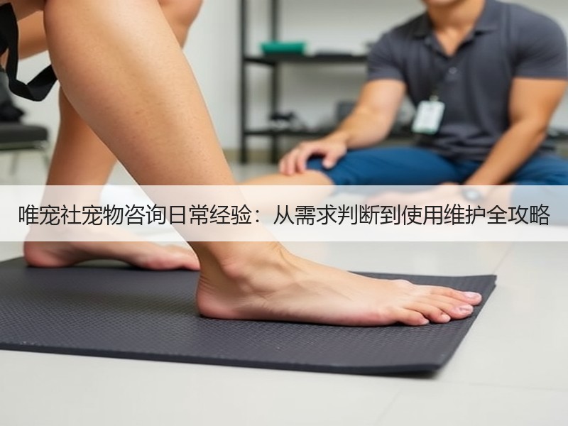 唯宠社宠物咨询日常经验：从需求判断到使用维护全攻略