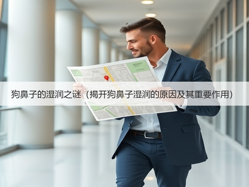 狗鼻子的湿润之谜（揭开狗鼻子湿润的原因及其重要作用）