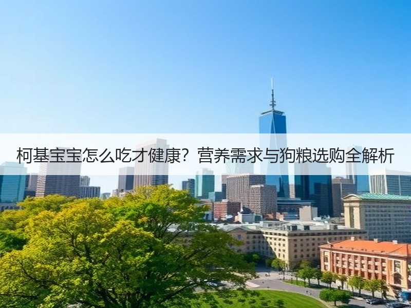 柯基宝宝怎么吃才健康？营养需求与狗粮选购全解析