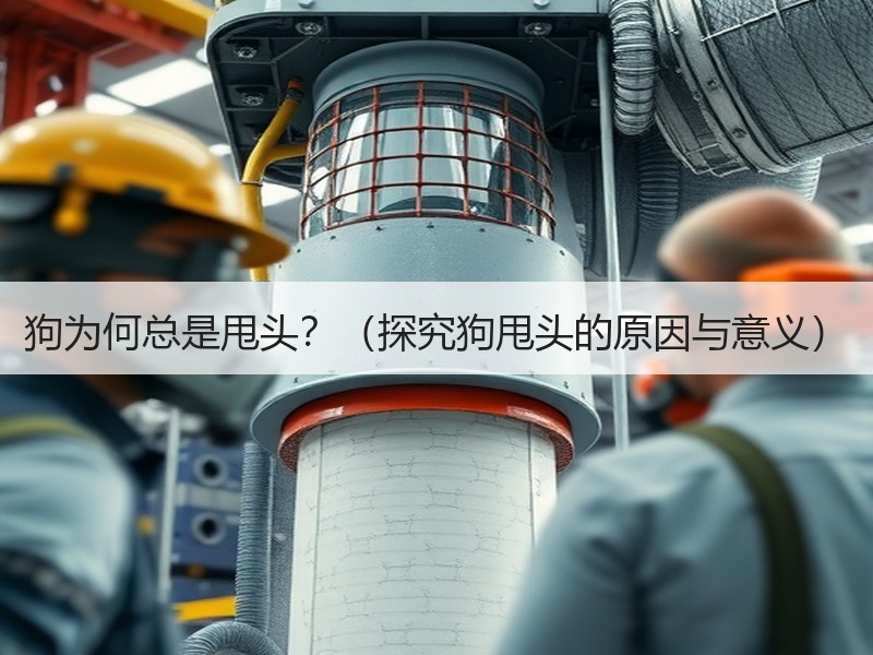 狗为何总是甩头？（探究狗甩头的原因与意义）