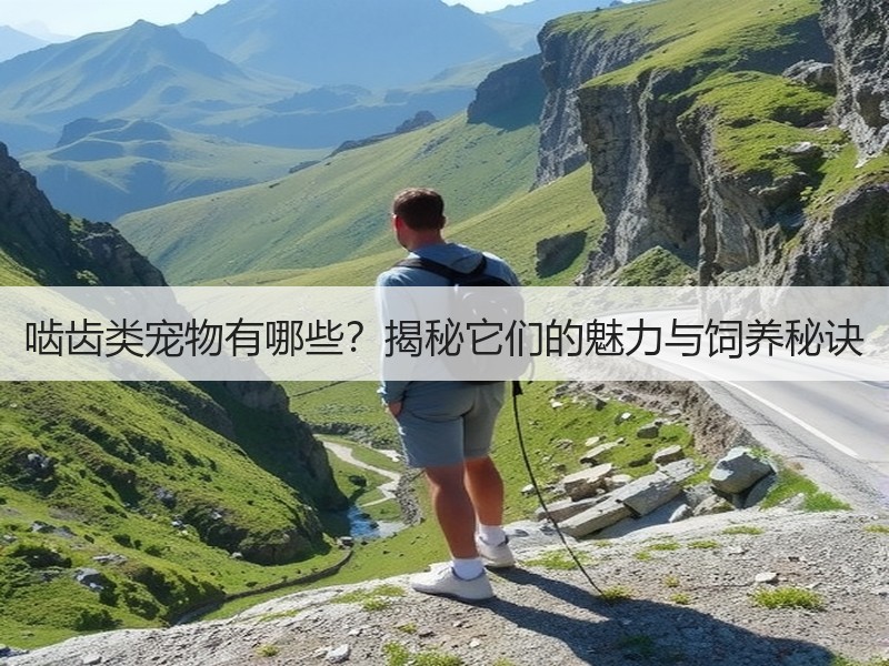啮齿类宠物有哪些？揭秘它们的魅力与饲养秘诀