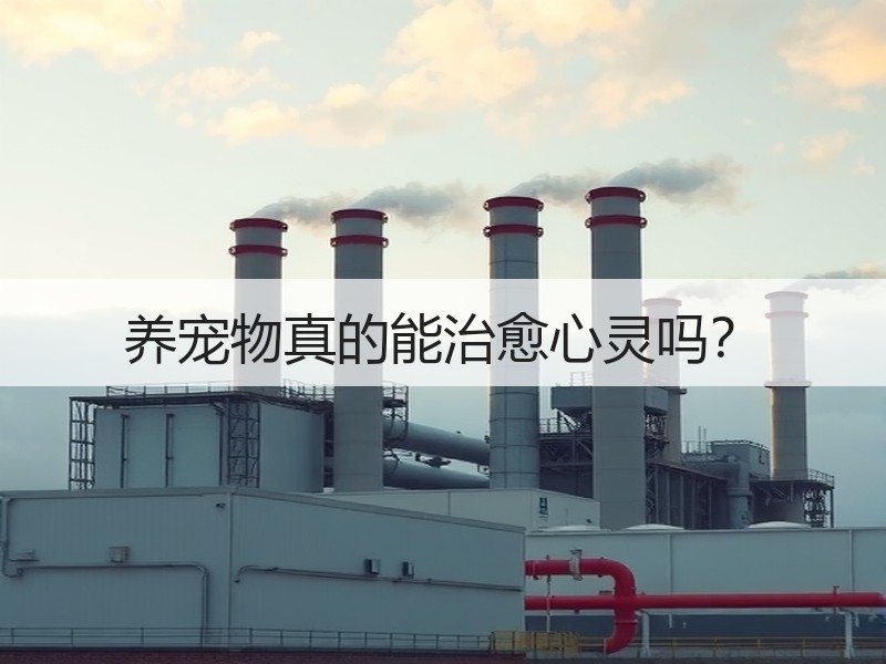 养宠物真的能治愈心灵吗？