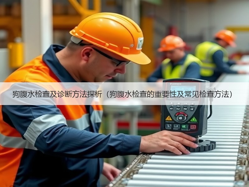 狗腹水检查及诊断方法探析（狗腹水检查的重要性及常见检查方法）