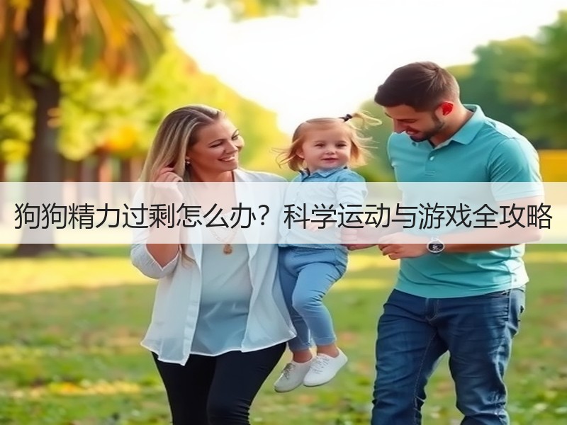 狗狗精力过剩怎么办？科学运动与游戏全攻略