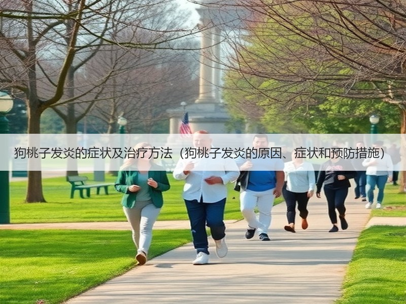 狗桃子发炎的症状及治疗方法（狗桃子发炎的原因、症状和预防措施）
