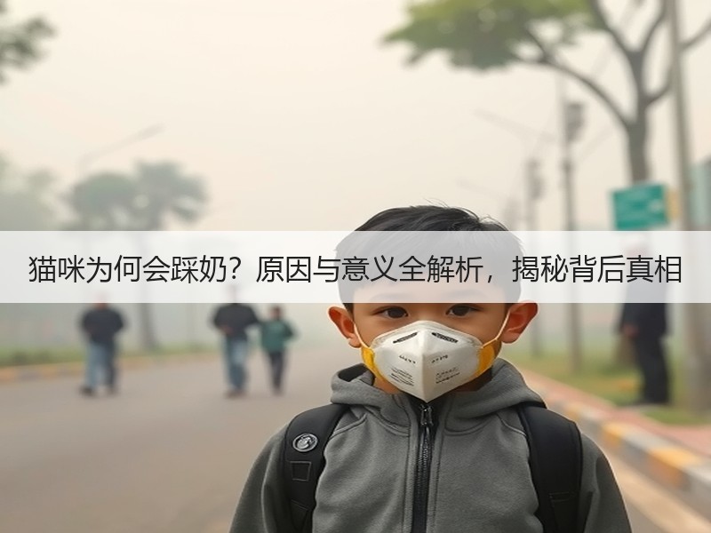 猫咪为何会踩奶？原因与意义全解析，揭秘背后真相