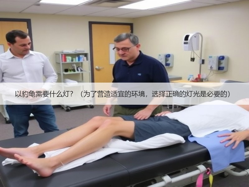 以豹龟需要什么灯？（为了营造适宜的环境，选择正确的灯光是必要的）