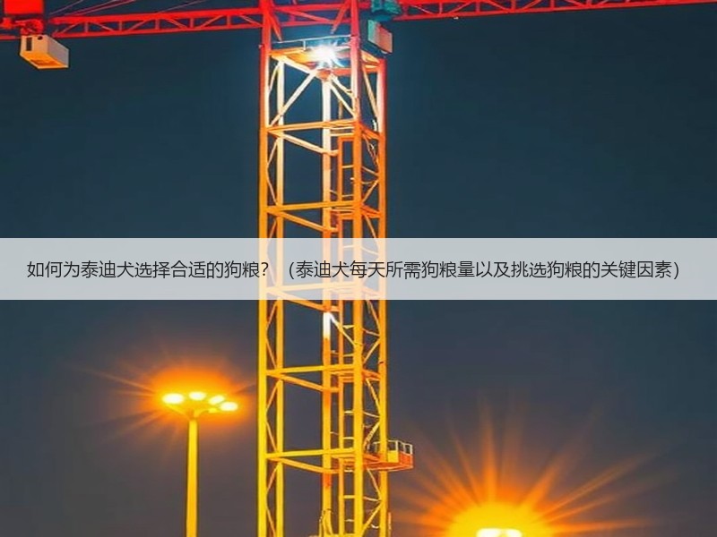 如何为泰迪犬选择合适的狗粮？（泰迪犬每天所需狗粮量以及挑选狗粮的关键因素）