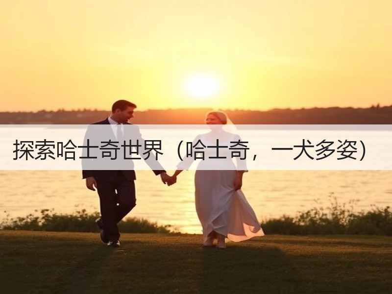 探索哈士奇世界（哈士奇，一犬多姿）