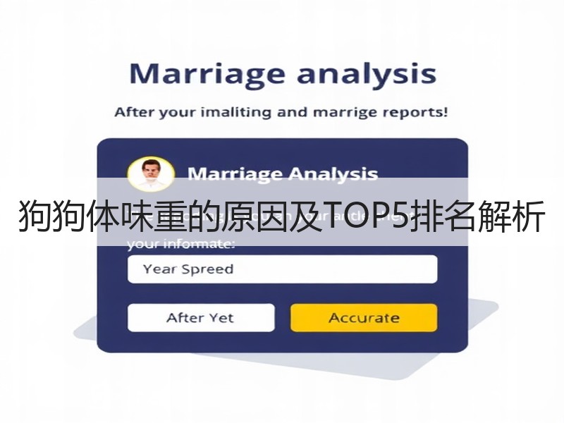 狗狗体味重的原因及TOP5排名解析
