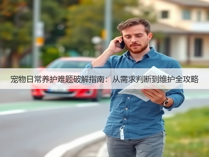 宠物日常养护难题破解指南：从需求判断到维护全攻略
