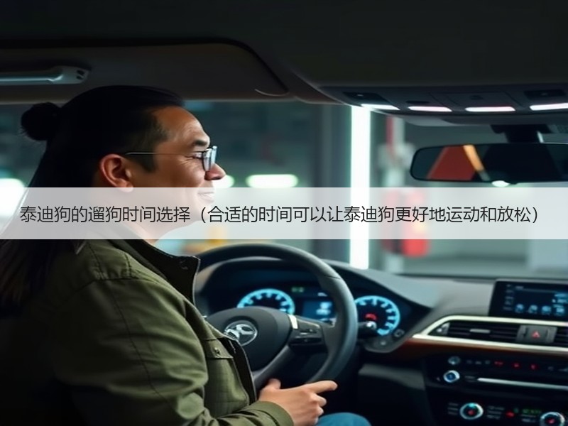泰迪狗的遛狗时间选择（合适的时间可以让泰迪狗更好地运动和放松）