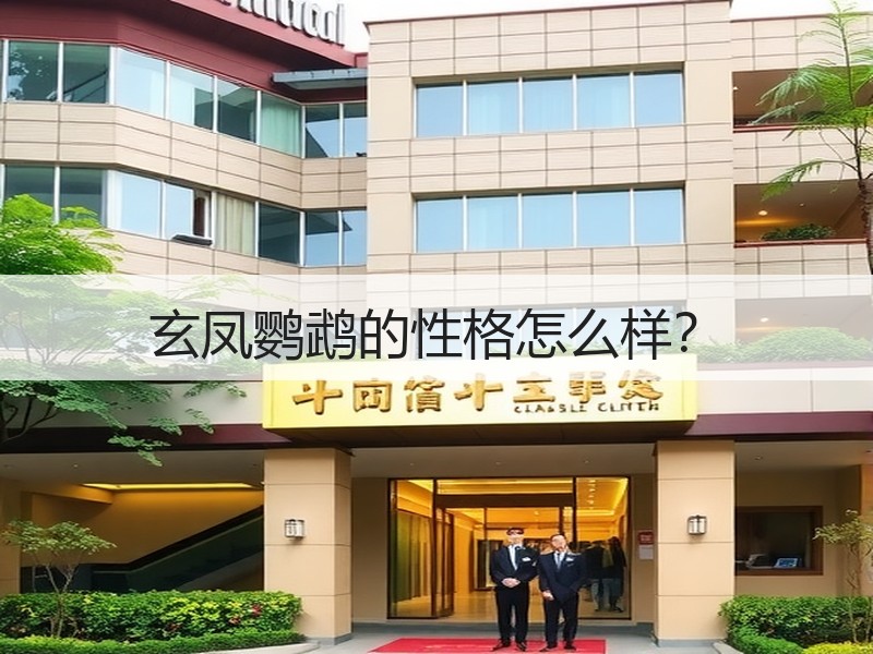 玄凤鹦鹉的性格怎么样？