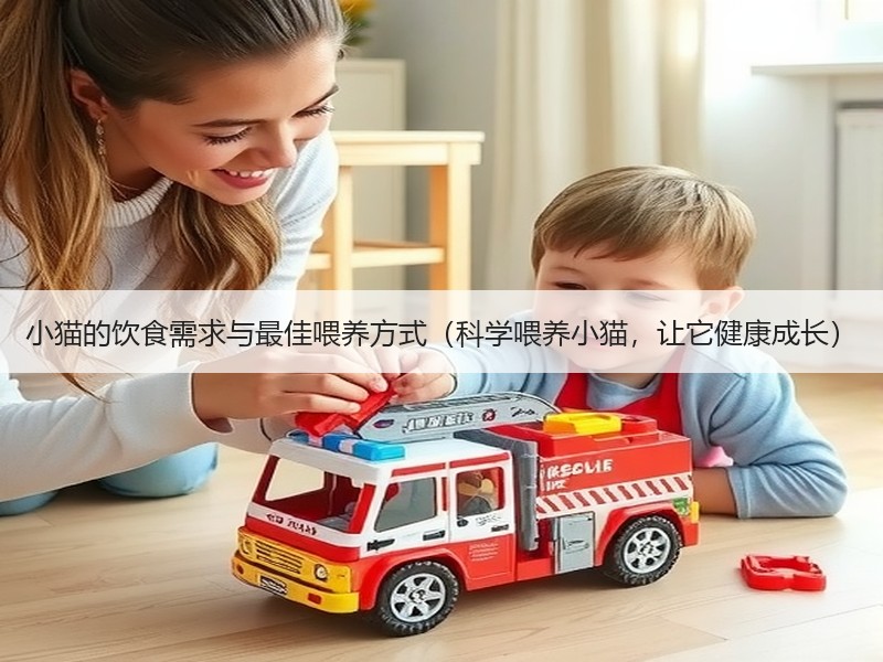 小猫的饮食需求与最佳喂养方式（科学喂养小猫，让它健康成长）