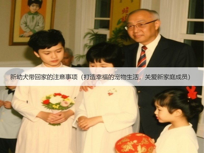 新幼犬带回家的注意事项（打造幸福的宠物生活，关爱新家庭成员）