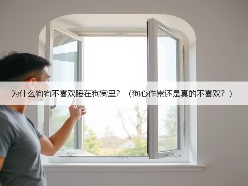 为什么狗狗不喜欢睡在狗窝里？（狗心作祟还是真的不喜欢？）