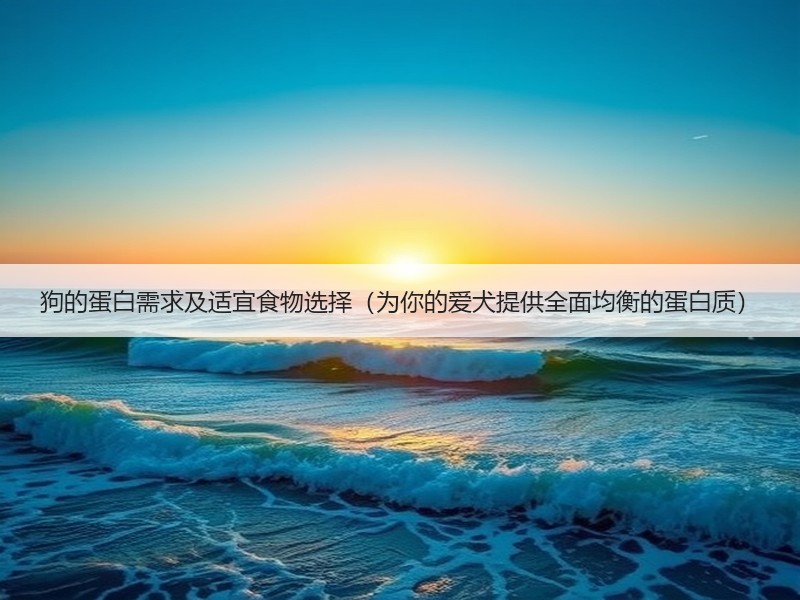 狗的蛋白需求及适宜食物选择（为你的爱犬提供全面均衡的蛋白质）