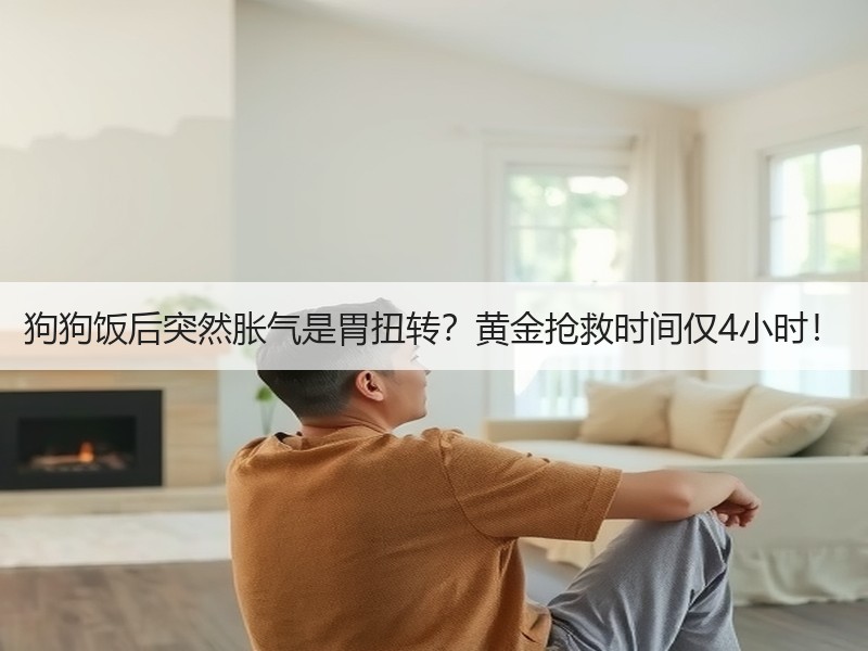 狗狗饭后突然胀气是胃扭转？黄金抢救时间仅4小时！