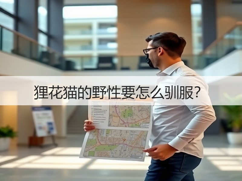 狸花猫的野性要怎么驯服？