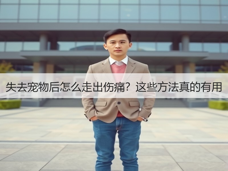 失去宠物后怎么走出伤痛？这些方法真的有用